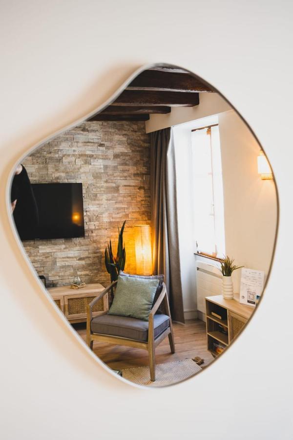 Le Grenette - Appartement Pour 2 A 4 Personnes En Plein Coeur D'Annecy Ngoại thất bức ảnh